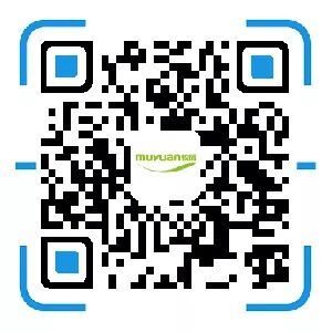 undefined undefined